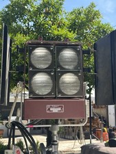 Mole Ridcharson 4 Light FAY 2-20amp Edison plugs Includes 4 Globes