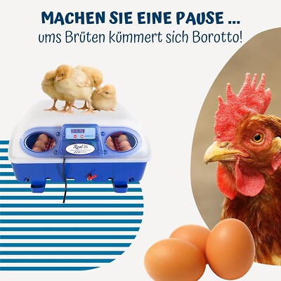Borotto halbautomatische REAL 24 - Patentierte professionelle Brutmaschine   