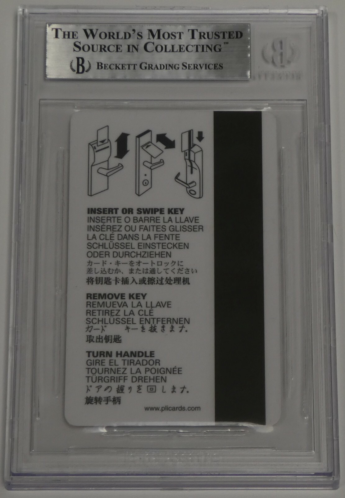 Picture 5 of 12