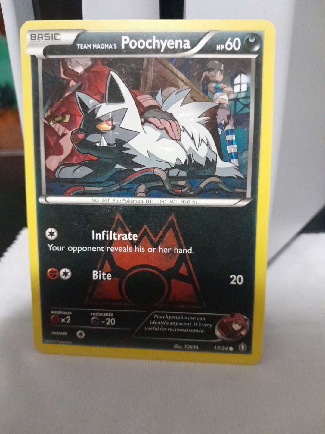 Team Magma's Poochyena 17/34 Double Crisis Regular