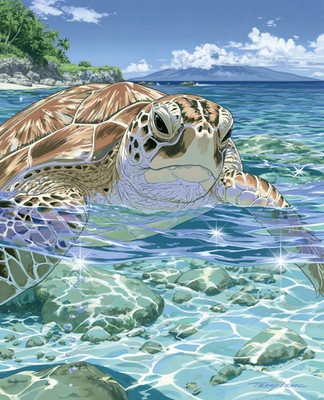 Sea Turtle Breaking Surface Above a Rocky Tropical Reef Print - 960292176