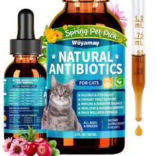 Antibiotics for Cats, Natural Antibiotic for Allergy Relief, Urinary Tract He...