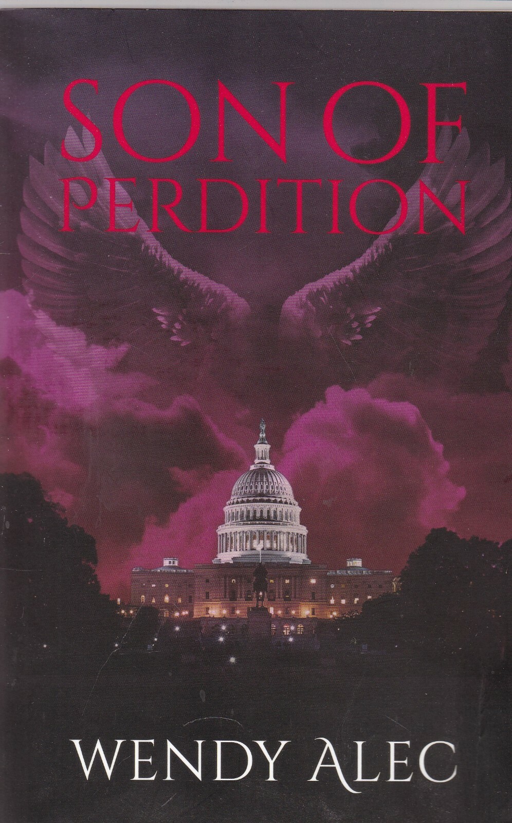 SON OF PERIDITION by WENDY ALEC - NEW PAPERBACK BOOK