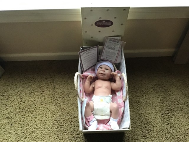 the ashton drake galleries dolls ebay