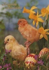 EASTER CHICKEN EGG Vintage Postcard CPSM #PBO684.U
