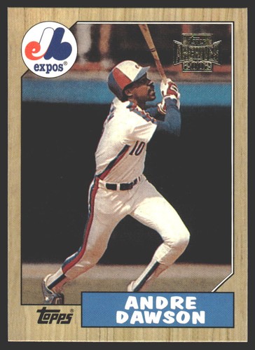 2002 Andre Dawson #147