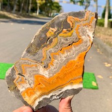 365G Natural Bumblebee Ocean Jasper Quartz Crystal Specimen Healing