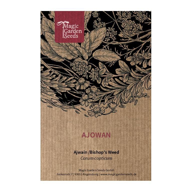 Ajowan (Carum copticum) 100 semi di questa erba aromatica usata come (c7O)