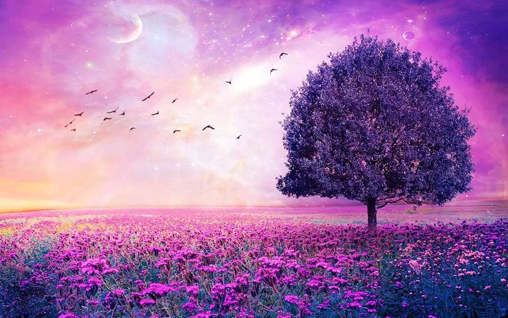 Purple artwork deals