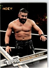 2017 Topps WWE Then Now Forever #166 Andrade 