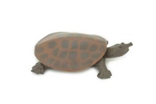 Softshell Turtle Toy Hand Painted Rubber Turtle Realistic Model Gift 2" SF38 B15