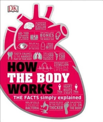 How the Body Works - Hardcover By DK - GOOD