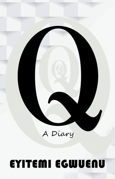 Q A Diary Eyitemi Egwuenu Taschenbuch Kartoniert / Broschiert Englisch 2018-image