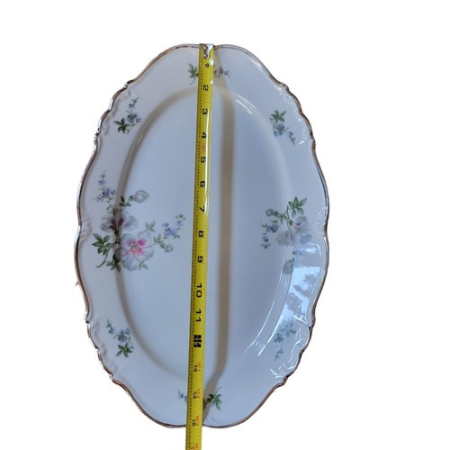 15.25" Oval Serving Platter by Eldestein Bavaria Maria Theresia Lynn Silver Trim - Picture 4 of 16