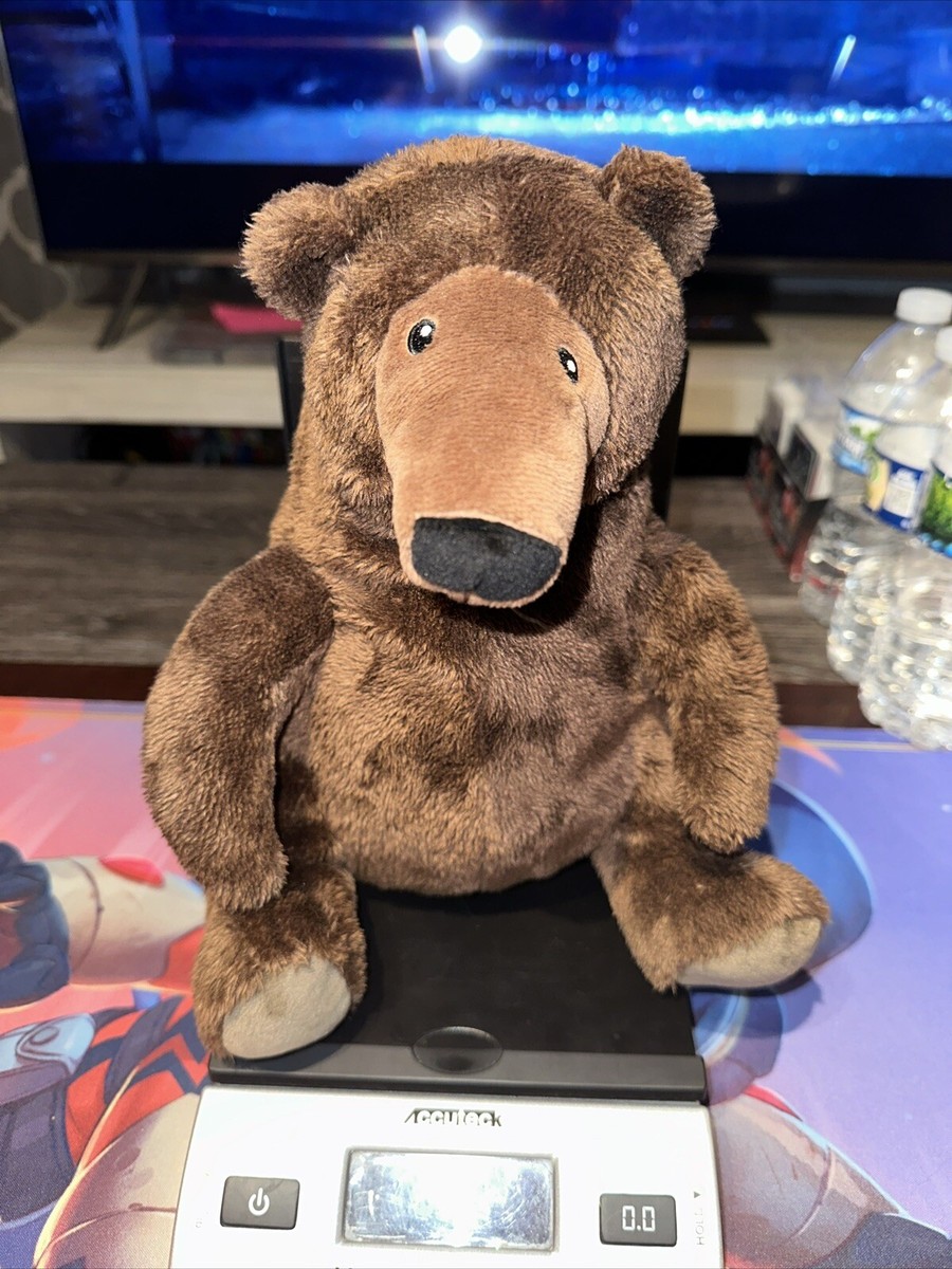 Kohls Cares 10 inch Bear Plush From A Perfect Day Story Grizzly