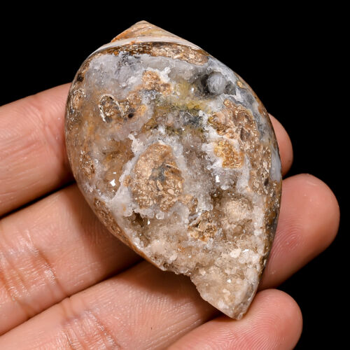 170.00Cts. Natural Snail Druzy Agate Loose Gemstone Fancy Cab 51X33X20 MM - Picture 1 of 7