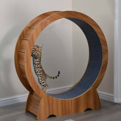 #ad Cat Exercise Wheel Large Cat Treadmill Running Wheel Cat Toy Weight Loss Roller $89.99