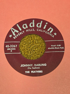 45 RPM Feathers ALADDIN 3267 Johnny Darling / Shake em Up RE M