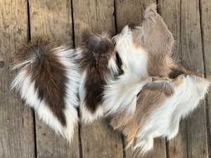 2  deer tails and 2 hide patches