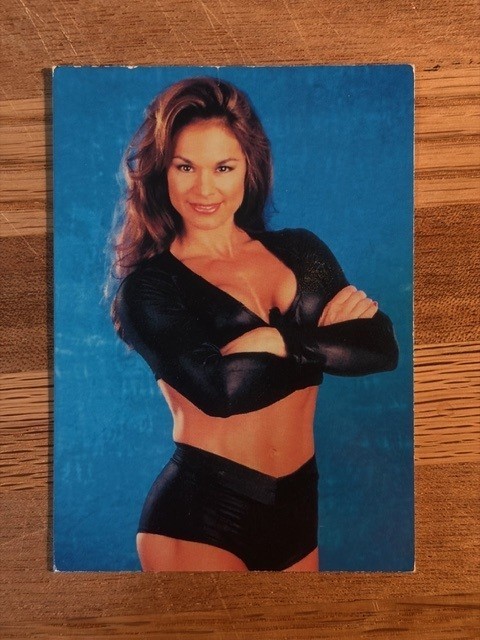 1999 Comic Images WWF Smackdown Cards Pick Your Card Wrestling