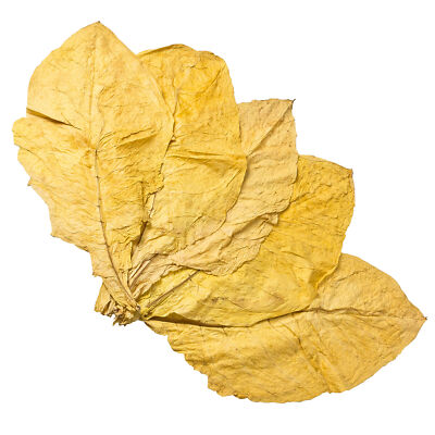 Virginia Bright Tabakblätter Tabak Tobacco Natur Rohtabak Premiumqualität