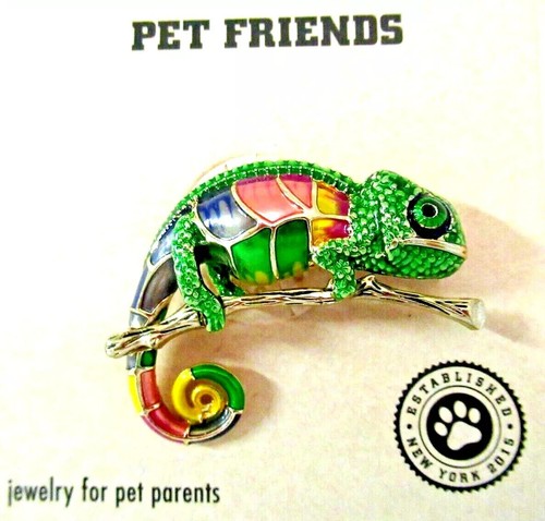 PET FRIENDS "SCHMUCK-CHAMÄLEONBROSCHE" (SCHMUCK FÜR HAUSTIERELTERN) *NEU MIT ETIKETT* - Bild 4 von 6