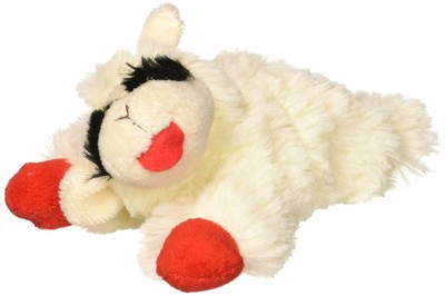 squeaky lamb dog toy