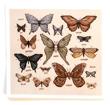 Butterfly Collection Water Resistant Sticker