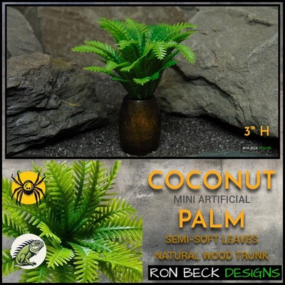 Artificial mini coconut palm natural wood trunk | Reptile Jumping Spider Decor