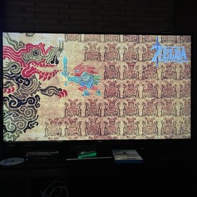 The Legend of Zelda: Breath of the Wild (Wii U, 2017) Tested