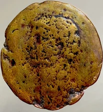 Roman Emperor Claudius Ancient Coin 41AD-50AD Minerva with Shield Genuine Rome