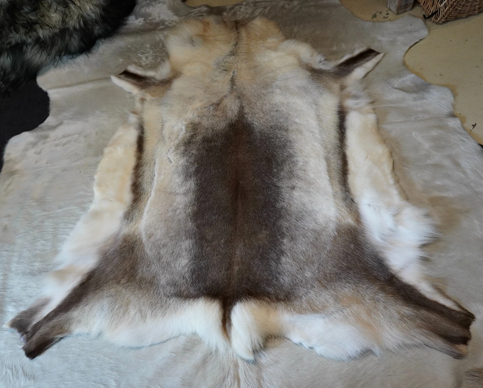 Picture 1 of 6