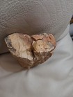 Bild 8 von 19