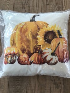 New Pottery Barn Pumpkin Sunflower 20 Fall Indoor Outdoor Pillow