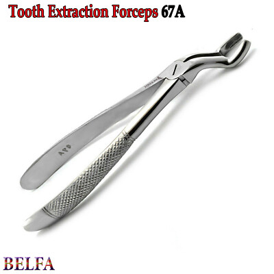 Davier - Dents De Sagesse - Supérieures - Fig:67a - Foto 8