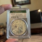 2020 (P) SILVER EAGLE PCGS MS70 FDI EMERGENCY ISSUE STRUCK AT PHILADELPHIA TONED