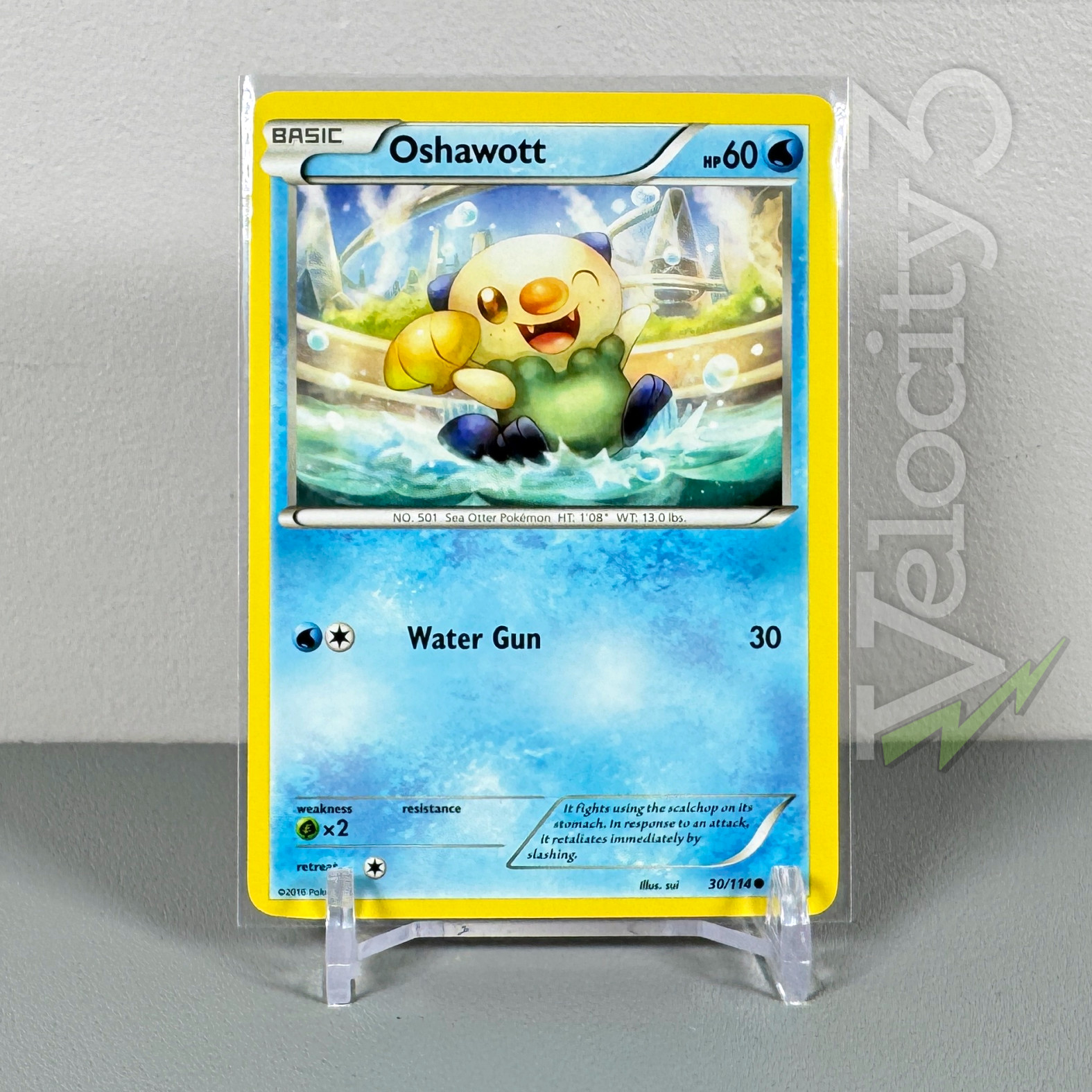 Pokemon TCG Card - Oshawott 30/114 | Common | 2016 XY Steam Siege | NM