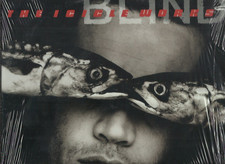 ICICLE WORKS blind VINYL LP RECORD beggars banquet 84241H usa 1988 SEALED