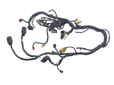 1987 Honda Goldwing 1200I Main Wire Harness OEM