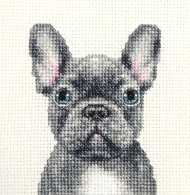 BLUE FRENCH BULLDOG dog puppy  Full cross stitch kit  all materials Fido 