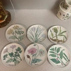 Vintage Set of 6 Neiman Marcus Horchow Botanical Herb Plates 7 3/8” Japan