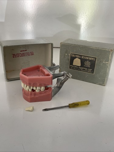 VINTAGE COLUMBIA DENTOFORM 561 & 562 Set (please Read)