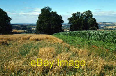 Photo 6x4 View from Cadley Hill Batsford Looking north west from the road c2005