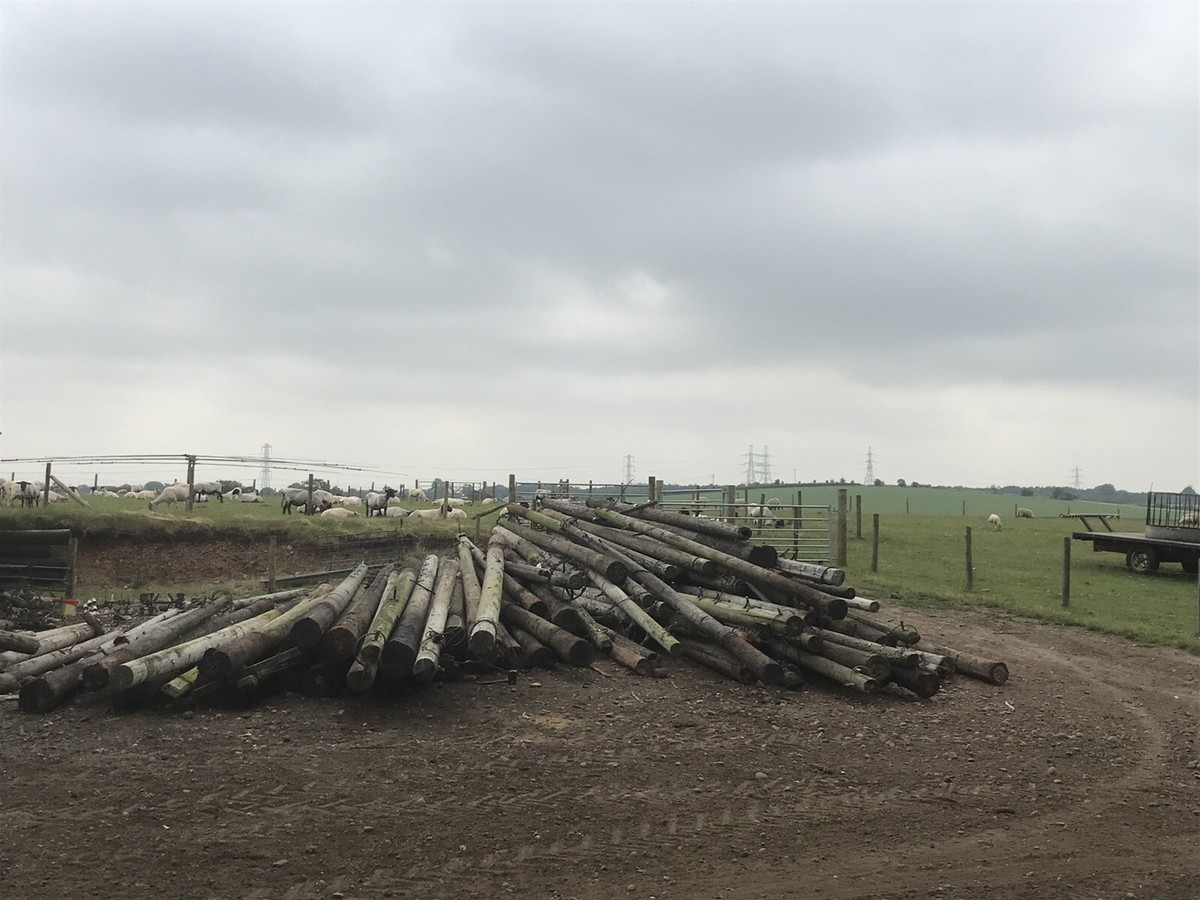 Telegraph Poles | eBay