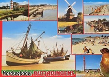 AK Butjadingens 1981