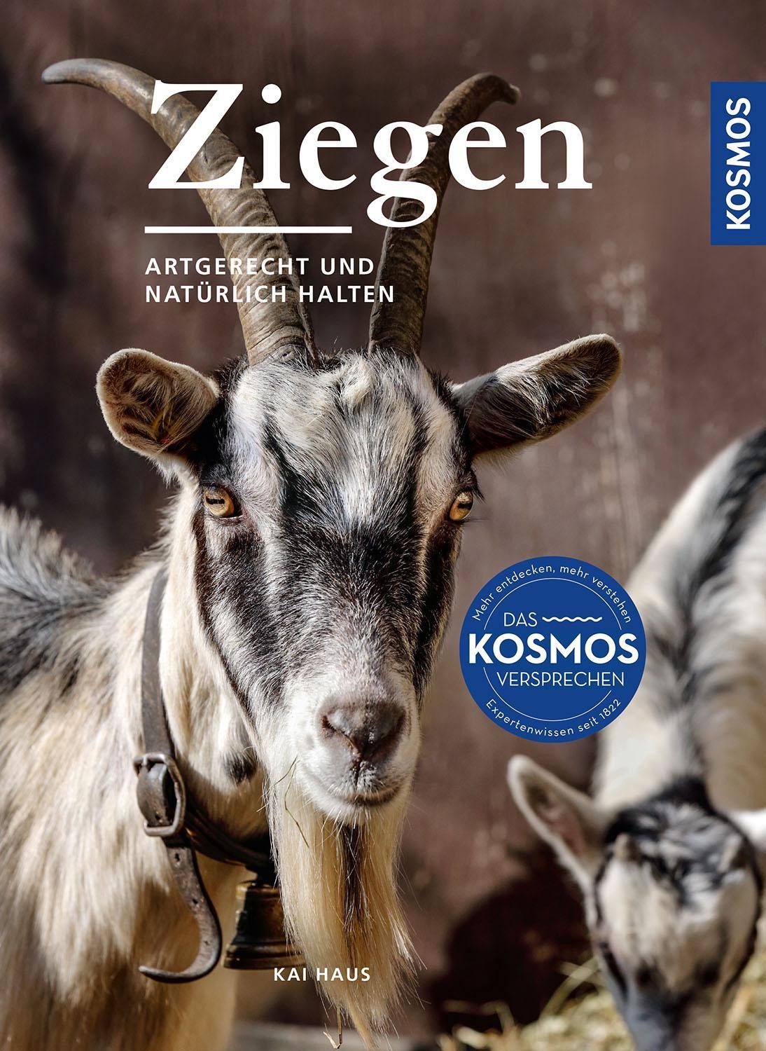 Ziegen Kai Haus - Bild 2