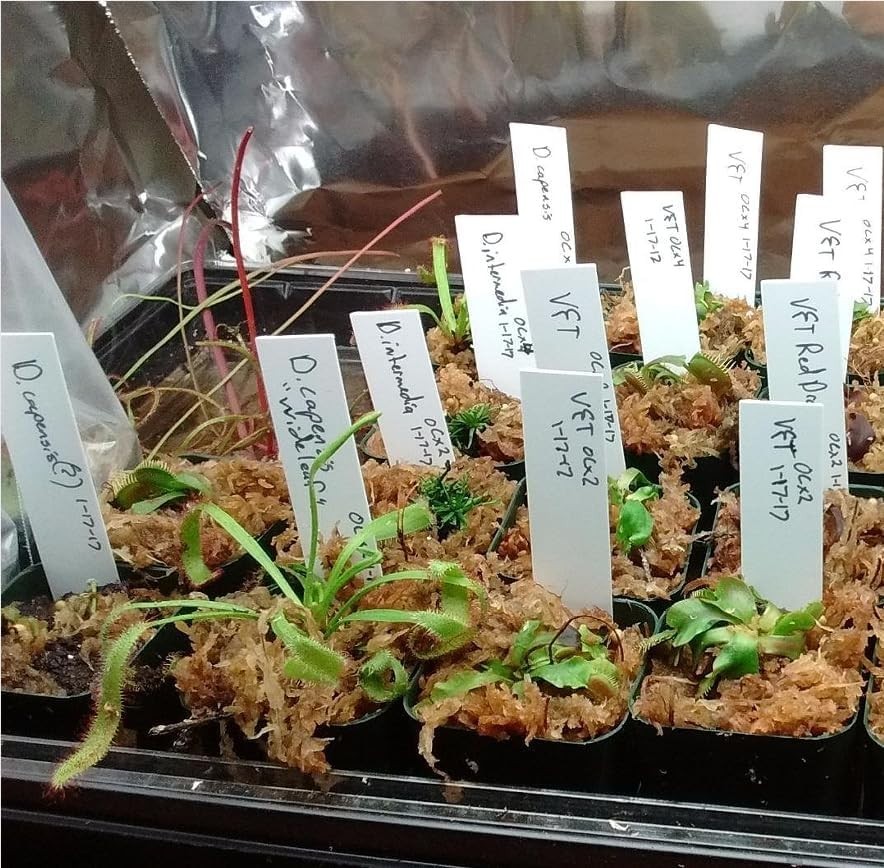 100 Pcs 4 Inch Plastic Plant Garden Labels Pot Marker Nursery Garden Stake Ta...