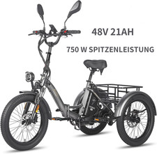 Fafrees F20 Mate 750W Elektro Dreirad 21AH 20*3 Zoll E-Bike 3 Rad E-Fahrrad 85KM