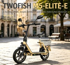 TWOFISH M5 Elite-E mit Straßenzulassung(EEC) faltbarer Elektroroller mit …