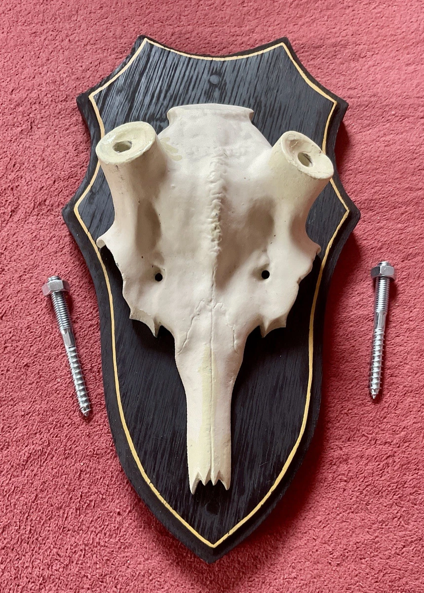 Hirschschdel online kaufen | eBay.de